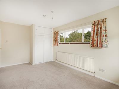 Picture 29